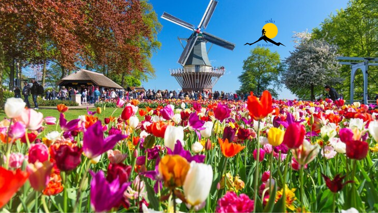 Wonders of the Netherlands